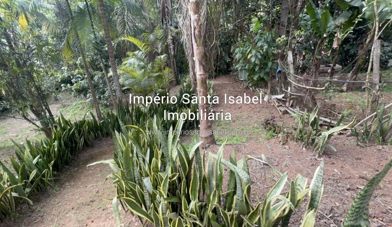 [Vem de chácara 1036 m² Santa Isabel SP]