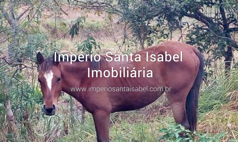 [Vende 2 casas em chácaras Eldorado - Santa Isabel ]