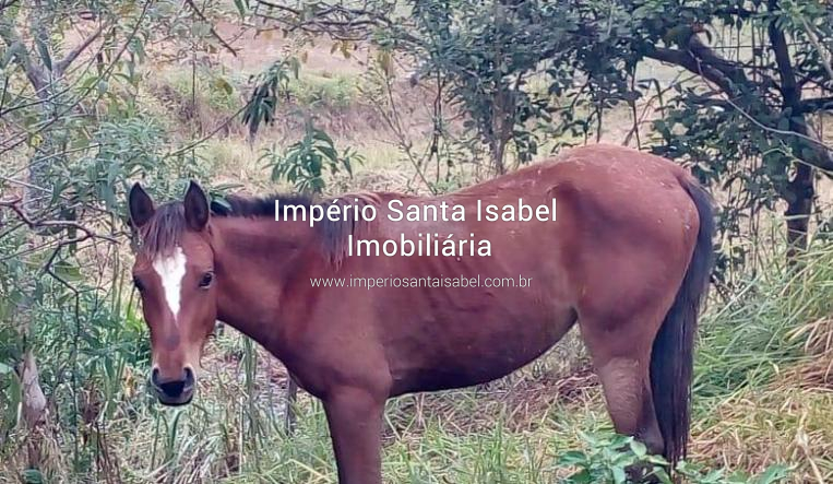 [Vende 2 casas em chácaras Eldorado - Santa Isabel ]