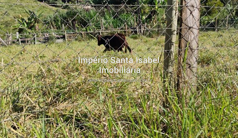 [Vende chácara 45.000 M2 com Lago- Pasto plano- Parateí - Santa Isabel -SP ]