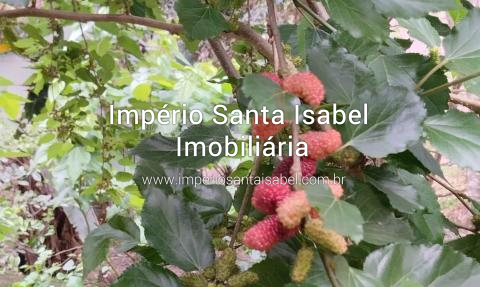 [Vende chácara 1.150 m2 pé na água - escritura ok-ref: 2485]