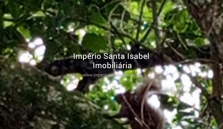 [Vende Chacara 1.790 m2- Santa Isabel SP - escritura - REF:2286]