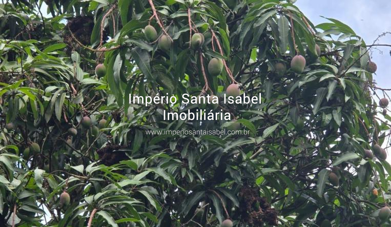 [Vende Chacara 2.800 M2 Monte Negro - Santa Isabel - REF 2196]