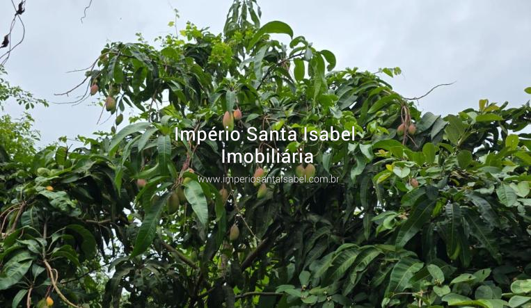 [Vende Chacara 2.800 M2 Monte Negro - Santa Isabel - REF 2196]