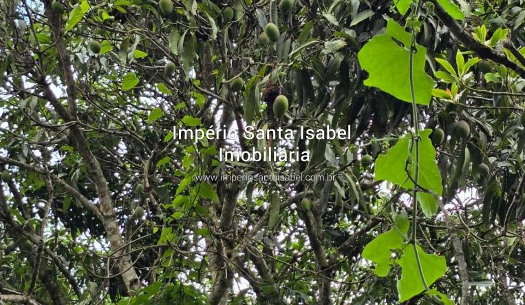 [Vende Chacara 2.800 M2 Monte Negro - Santa Isabel - REF 2196]