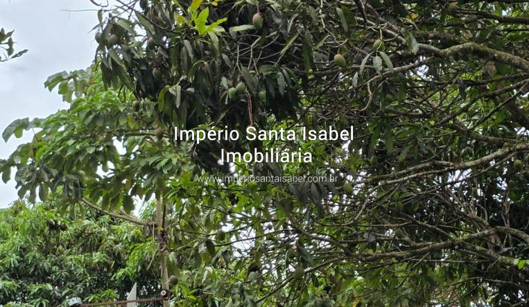 [Vende Chacara 2.800 M2 Monte Negro - Santa Isabel - REF 2196]