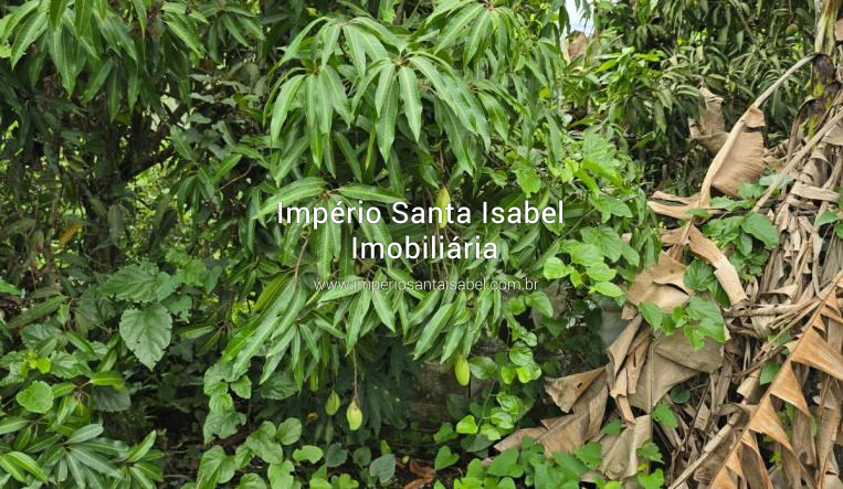 [Vende Chacara 2.800 M2 Monte Negro - Santa Isabel - REF 2196]