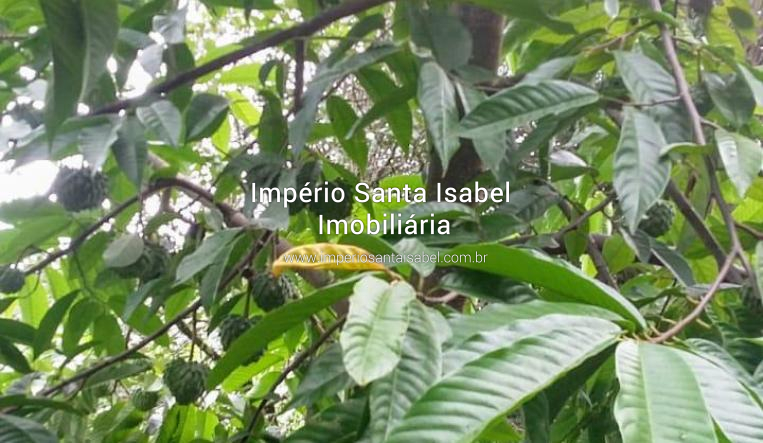 [Vende chácara 3.670 M2 com escritura - Santa Isabel SP REF 2197 ]