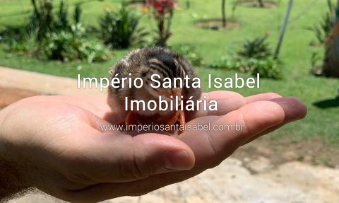 [Vende Chacara formada 2 alqueires Santa Isabel SP ref: 2339]