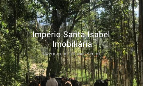 [Vende Chacara formada 2 alqueires Santa Isabel SP ref: 2339]