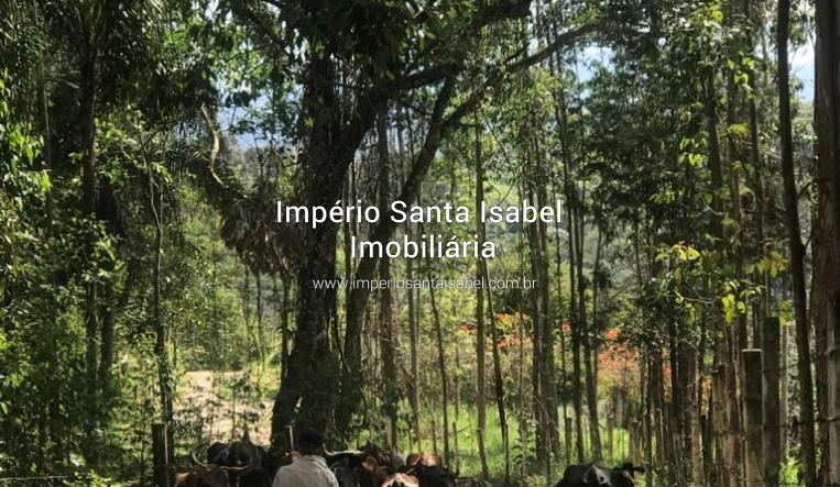 [Vende Chacara formada 2 alqueires Santa Isabel SP ref: 2339]