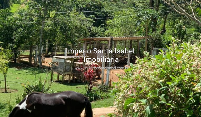 [Vende Chacara formada 2 alqueires Santa Isabel SP ref: 2339]