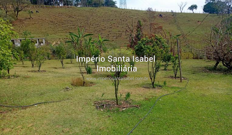 [Vende Chacara formada 2 alqueires Santa Isabel SP ref: 2339]