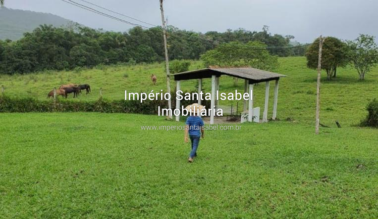 [Vende-se Linda Fazenda em Jacupiranga-Sp, com 84 alqueires.]