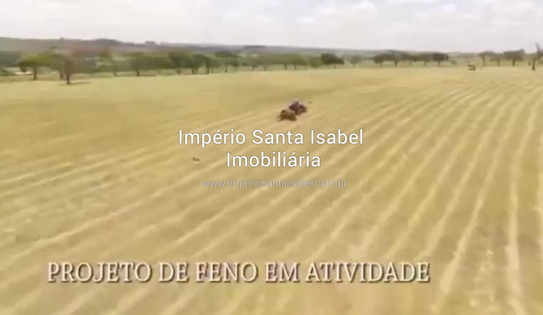 [Vende-se Maravilhosa Fazenda Haras em Tatuí-SP Com 258 ha ]