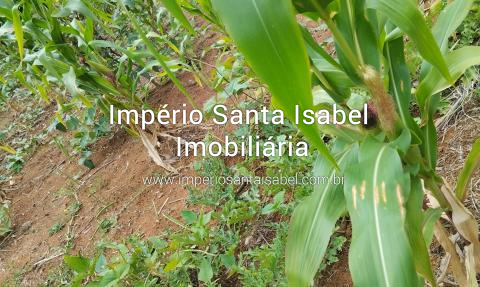[Vende Sítio 11.000M2- Nazaré Paulista REF: 1749]