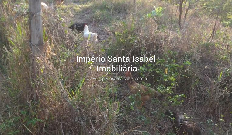 [Vende terreno 4.912m2- Estrada São Domingos com escritura ]