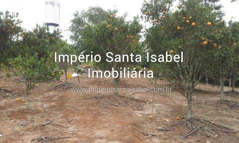 [Vende terreno 957 m2no bairro Ouro Fino-Santa Isabel SP- ref: 1613]