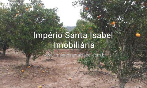 [Vende terreno 957 m2no bairro Ouro Fino-Santa Isabel SP- ref: 1613]