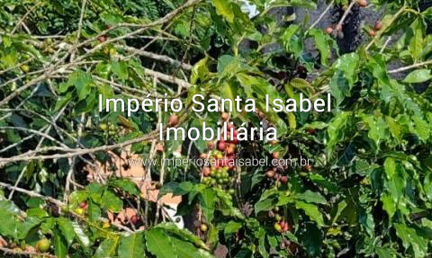 [Vende terreno 957 M2 com escritura - Santa Isabel ]